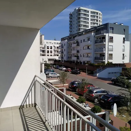 Przytulny - Platan *