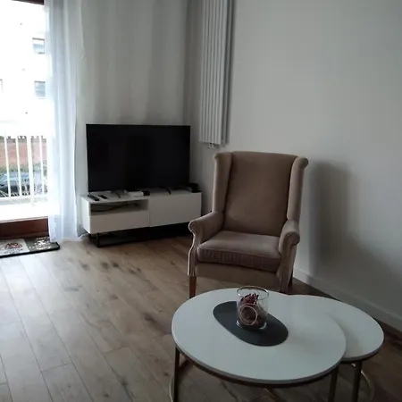 Przytulny - Platan *