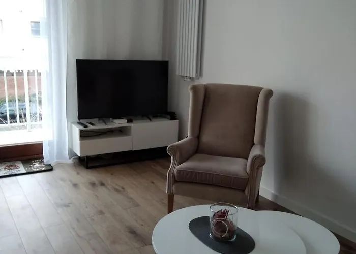 Przytulny - Platan *